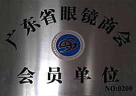 骑行眼镜|运动眼镜|户外眼镜|滑雪镜|安全眼镜|摩托车风镜|太阳眼镜